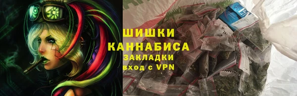 ГАЛЛЮЦИНОГЕННЫЕ ГРИБЫ Карпинск