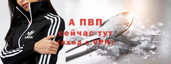 ГАЛЛЮЦИНОГЕННЫЕ ГРИБЫ Карпинск