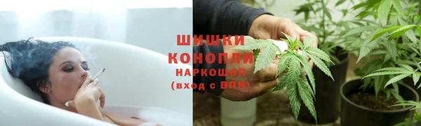 ГАЛЛЮЦИНОГЕННЫЕ ГРИБЫ Карпинск