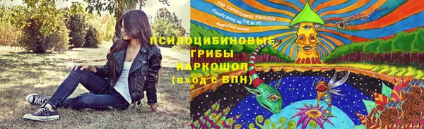 ГАЛЛЮЦИНОГЕННЫЕ ГРИБЫ Карпинск