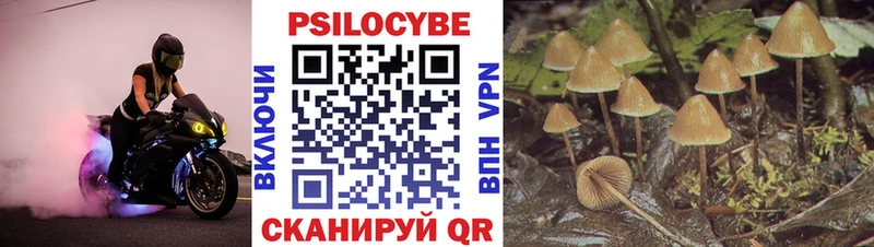 Псилоцибиновые грибы мухоморы  Купить где  Гуково 